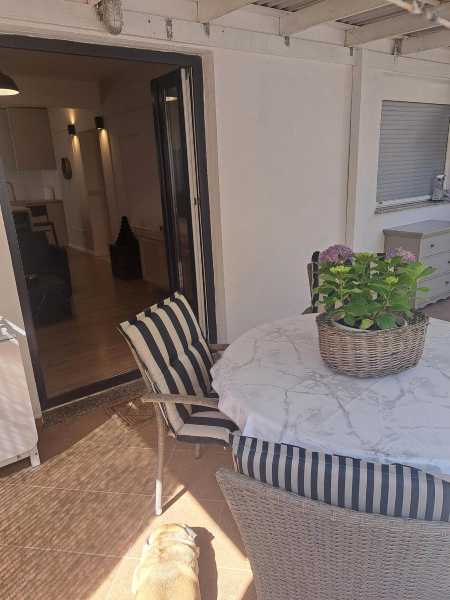 Apartman Petra زادار المظهر الخارجي الصورة