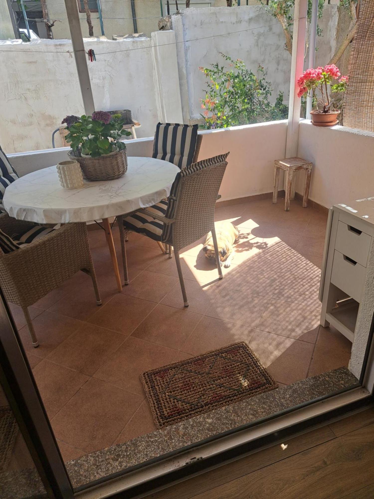 Apartman Petra زادار المظهر الخارجي الصورة